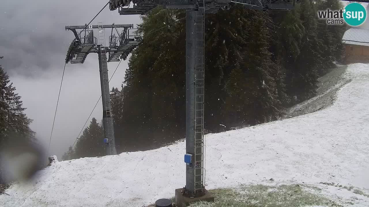 Webcam VITRANC 2 | Kranjska Gora – stazione superiore