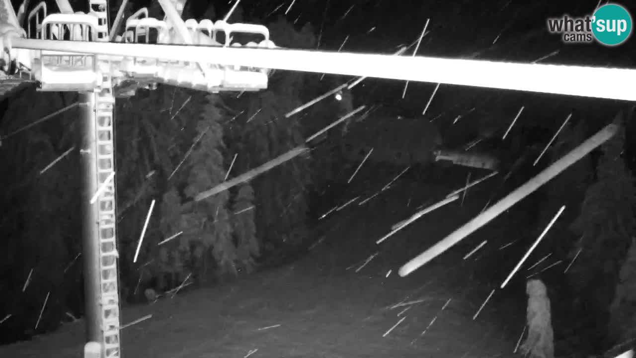 Kranjska Gora webcam VITRANC 2 | Bergstation