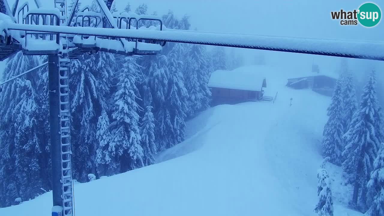 Webcam Kranjska Gora VITRANC 2 | station supérieure