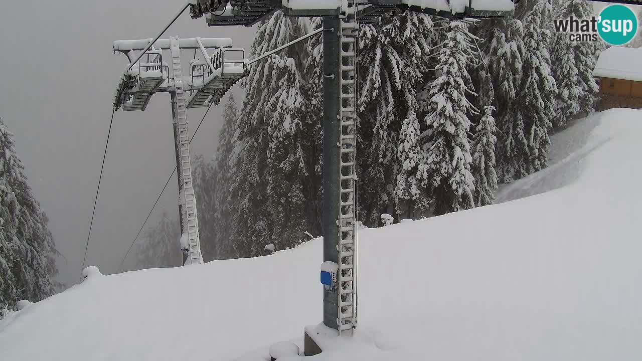 Webcam Kranjska Gora VITRANC 2 | station supérieure