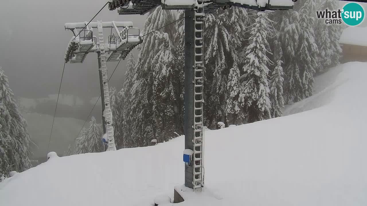 Webcam Kranjska Gora VITRANC 2 | Station supérieure