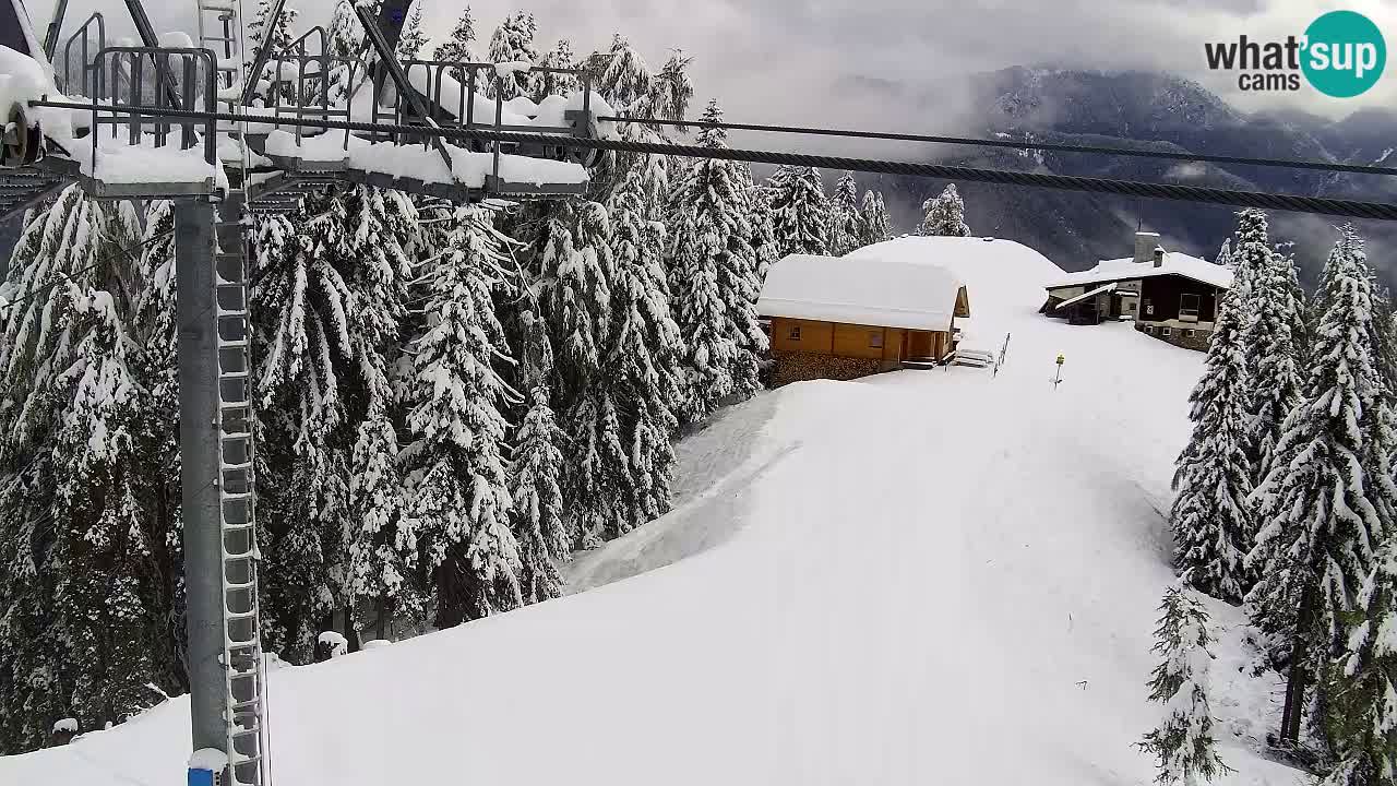 Webcam Kranjska Gora VITRANC 2 | station supérieure