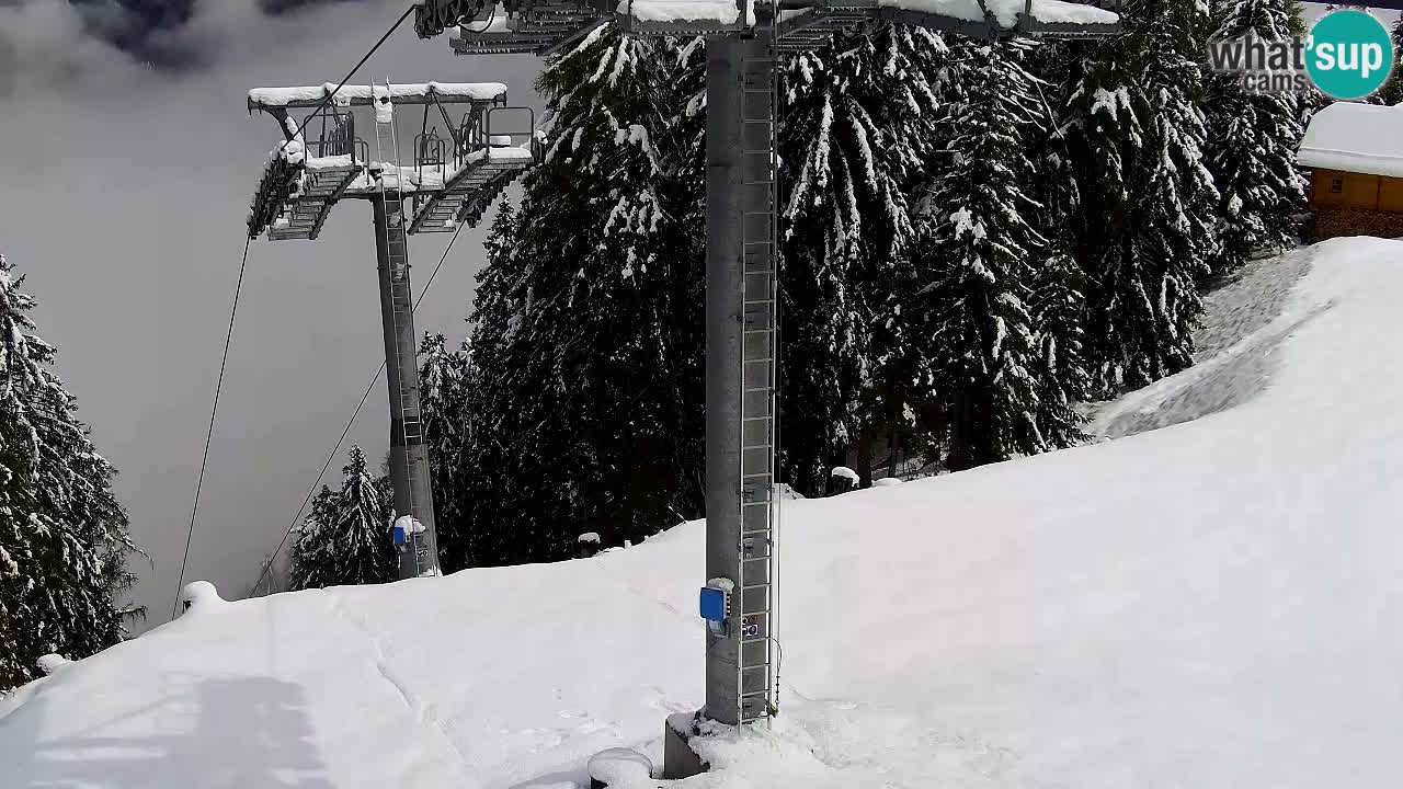 Webcam Kranjska Gora VITRANC 2 | Station supérieure