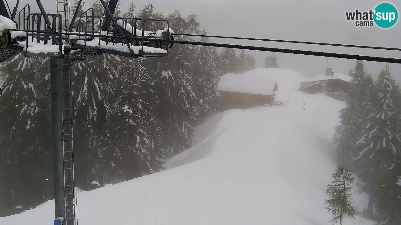 Webcam Kranjska Gora VITRANC 2 | station supérieure