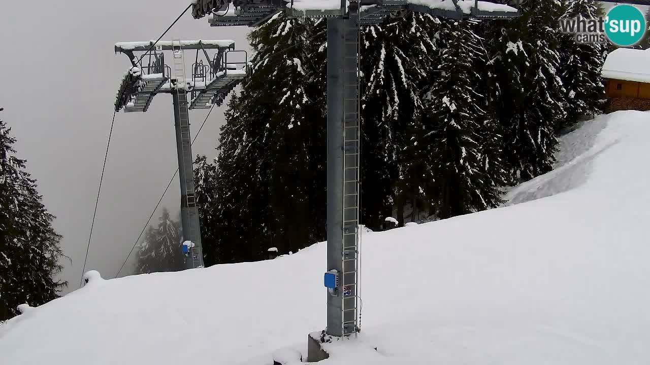 Webcam Kranjska Gora VITRANC 2 | station supérieure