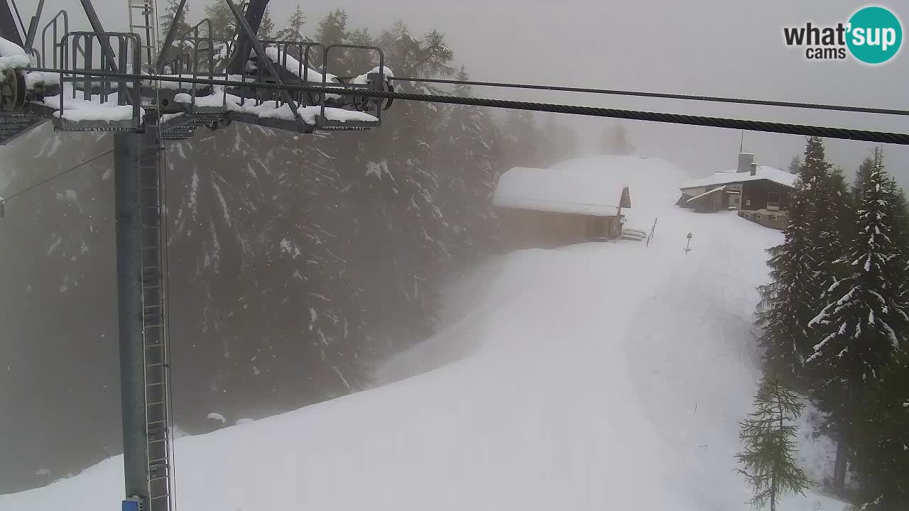 Webcam Kranjska Gora VITRANC 2 | station supérieure