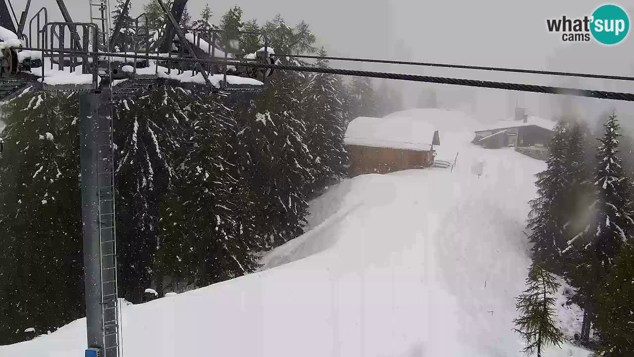 Webcam VITRANC 2 | Kranjska Gora – stazione superiore