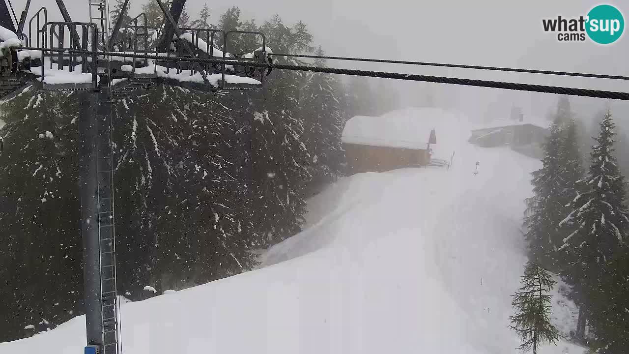 Webcam Kranjska Gora VITRANC 2 | station supérieure
