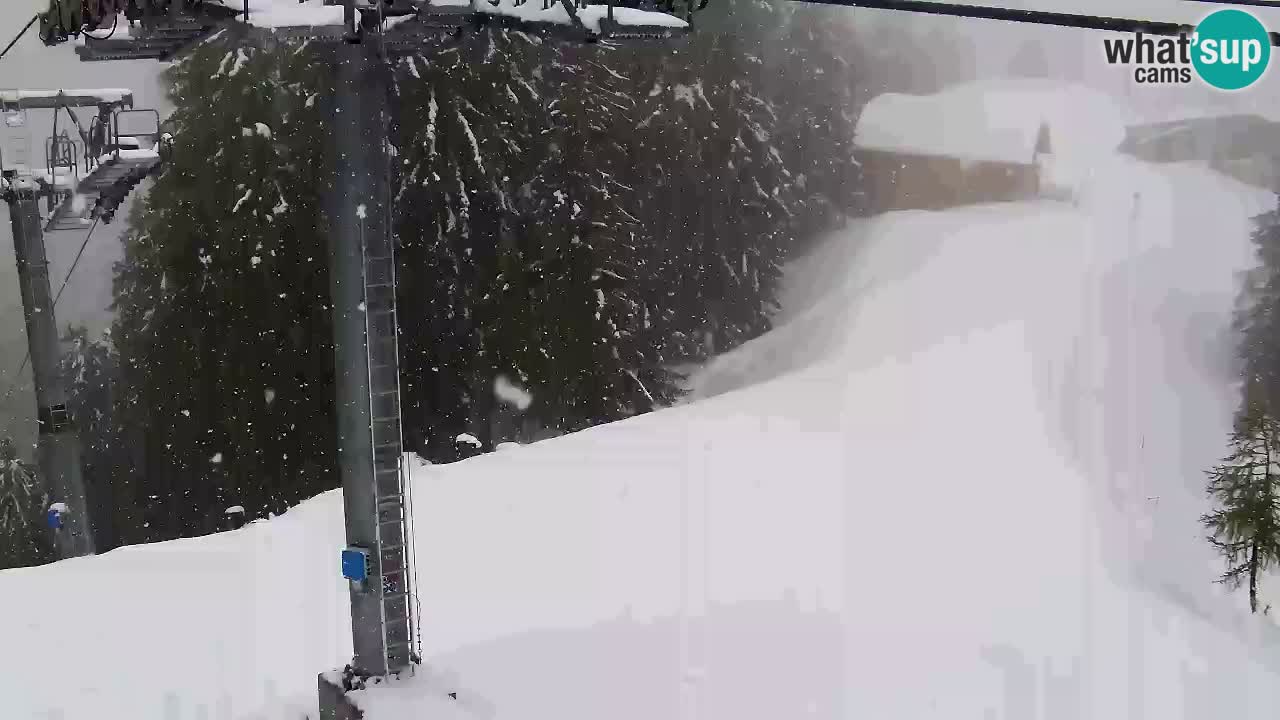 Webcam VITRANC 2 | Kranjska Gora – stazione superiore