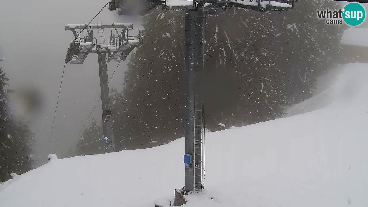 Web kamera Kranjska Gora VITRANC 2 | gornja postaja