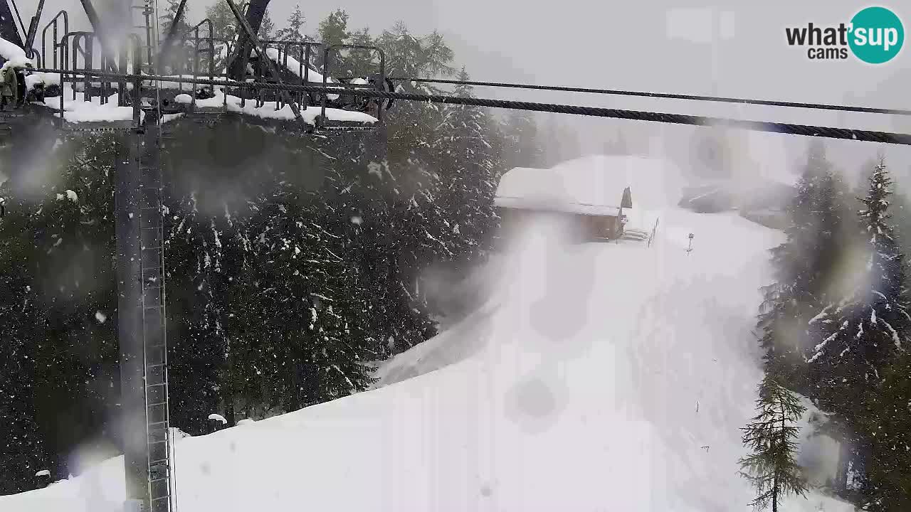 Webcam Kranjska Gora VITRANC 2 upper station