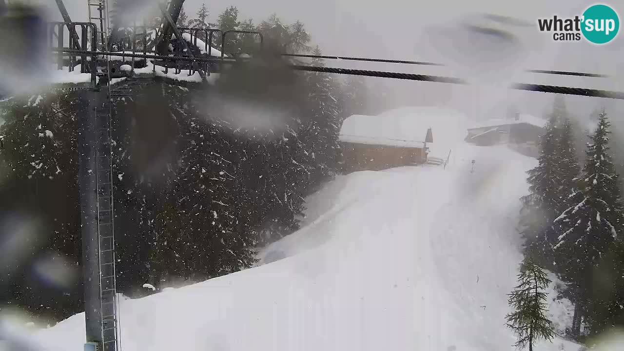 Web kamera Kranjska Gora VITRANC 2 | gornja postaja
