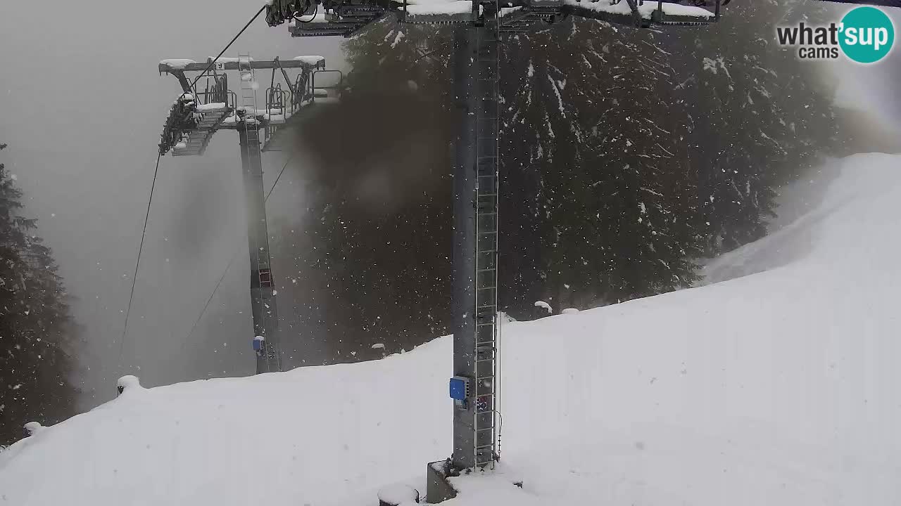 Webcam VITRANC 2 | Kranjska Gora – stazione superiore