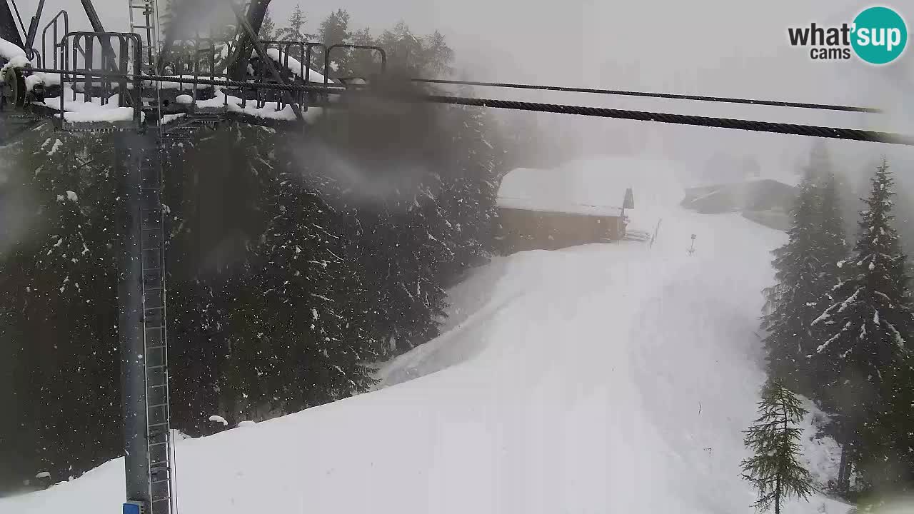 Webcam Kranjska Gora VITRANC 2 upper station