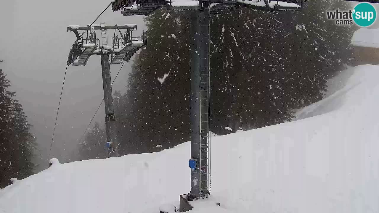 Web kamera Kranjska Gora VITRANC 2 | gornja postaja