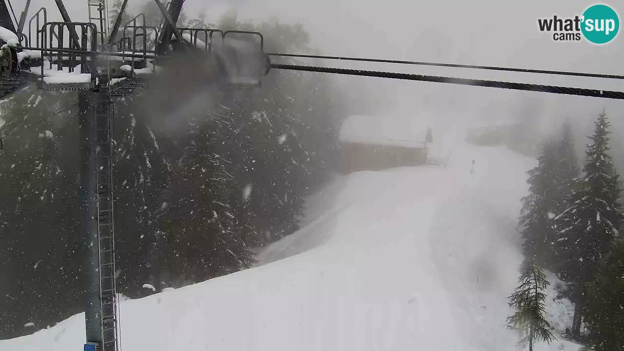Webcam VITRANC 2 | Kranjska Gora – stazione superiore