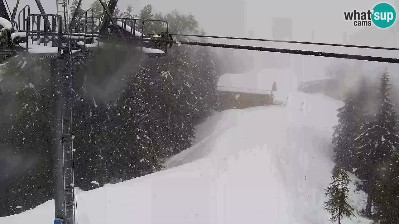 Web kamera Kranjska Gora VITRANC 2 | gornja postaja