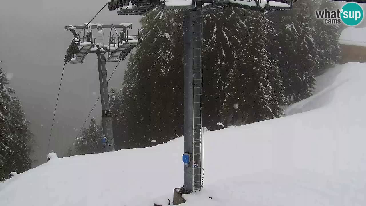 Webcam Kranjska Gora VITRANC 2 | station supérieure
