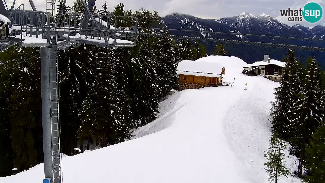 Webcam VITRANC 2 | Kranjska Gora – stazione superiore
