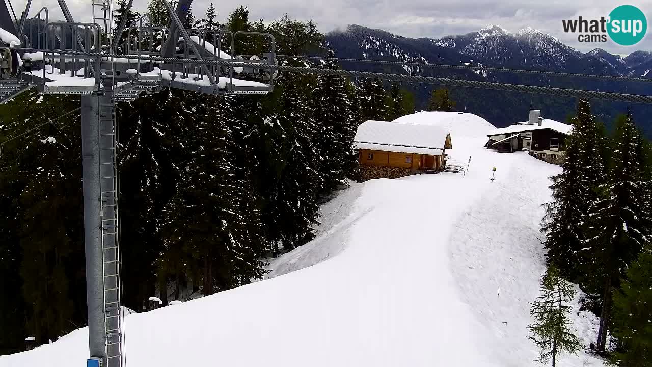 Web kamera Kranjska Gora VITRANC 2 | gornja postaja