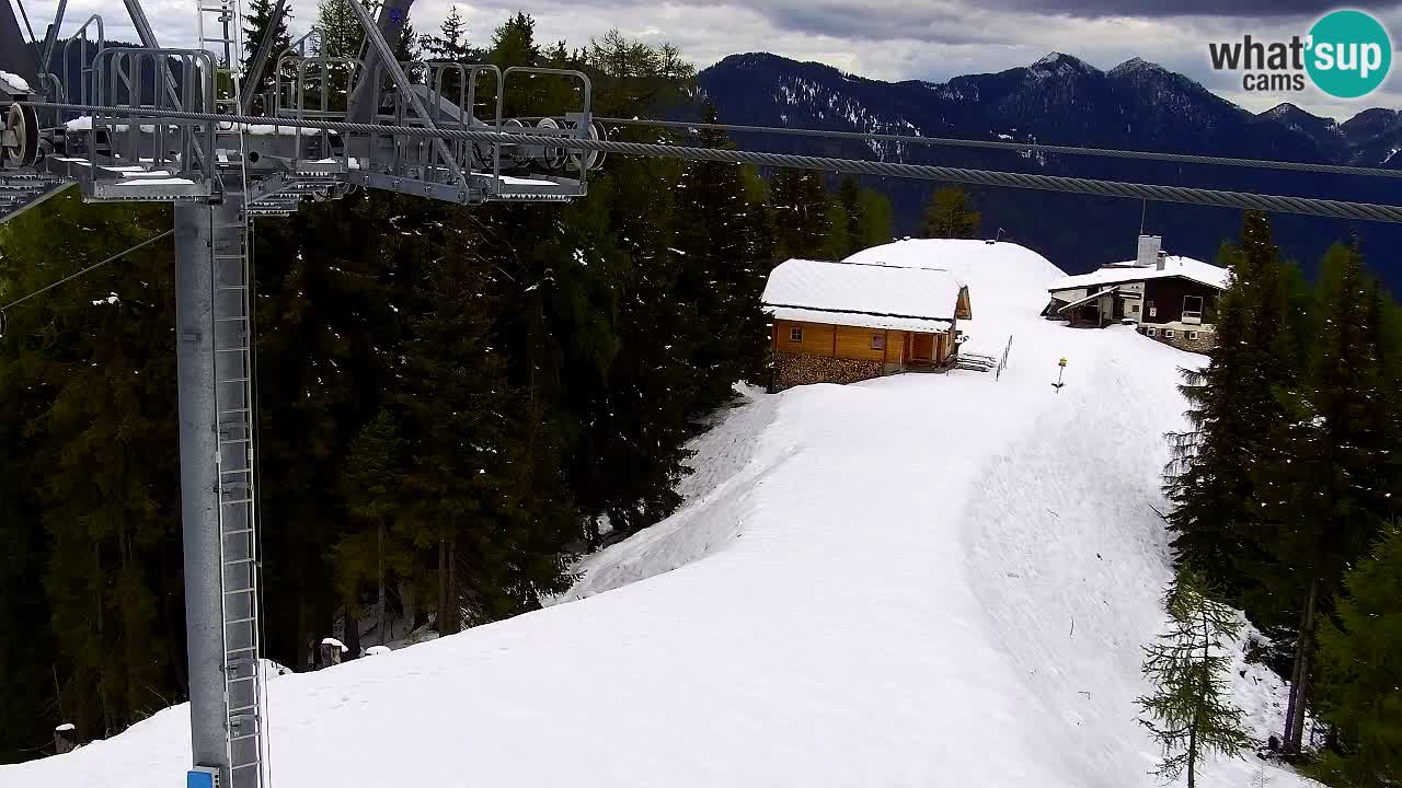 Webcam Kranjska Gora VITRANC 2 | Station supérieure
