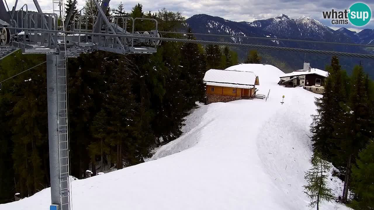 Webcam Kranjska Gora VITRANC 2 | Station supérieure