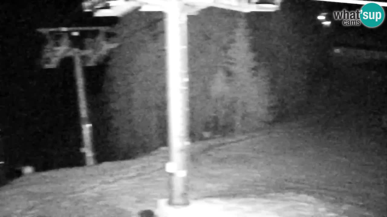 Webcam Kranjska Gora VITRANC 2 | station supérieure