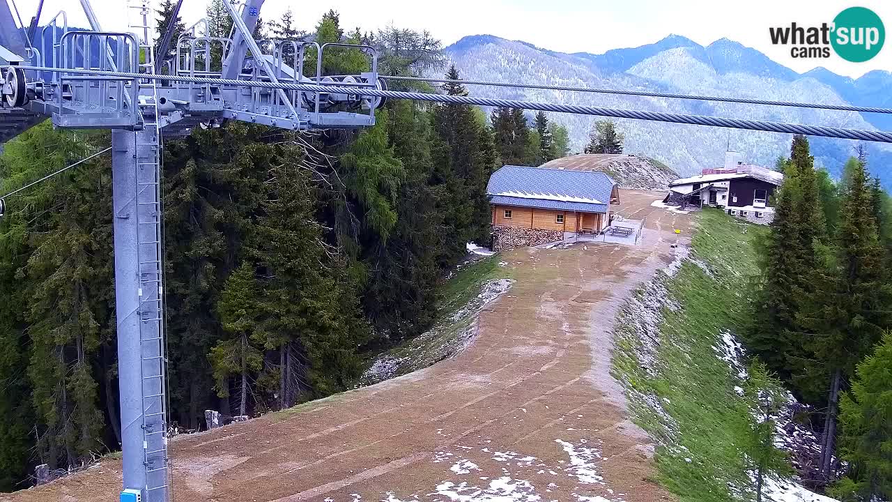 Web kamera Kranjska Gora VITRANC 2 | gornja postaja