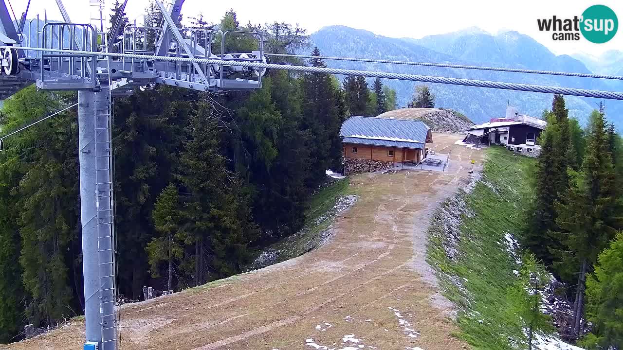 Webcam Kranjska Gora VITRANC 2 | station supérieure
