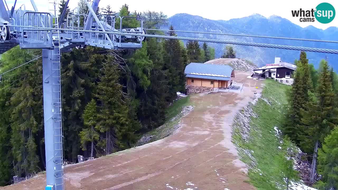 Webcam VITRANC 2 | Kranjska Gora – stazione superiore