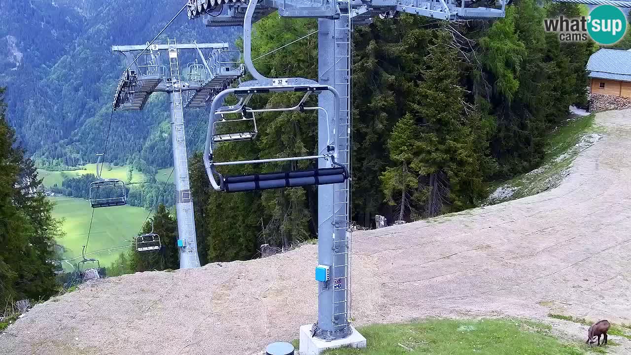 Webcam VITRANC 2 | Kranjska Gora – stazione superiore