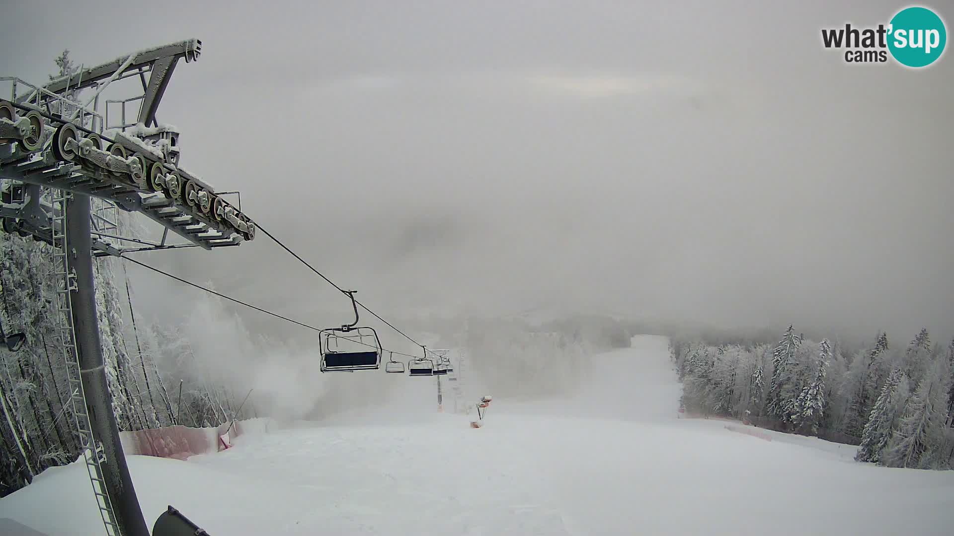 Kranjska Gora webcam Podkoren – Partenza  slalom gigante