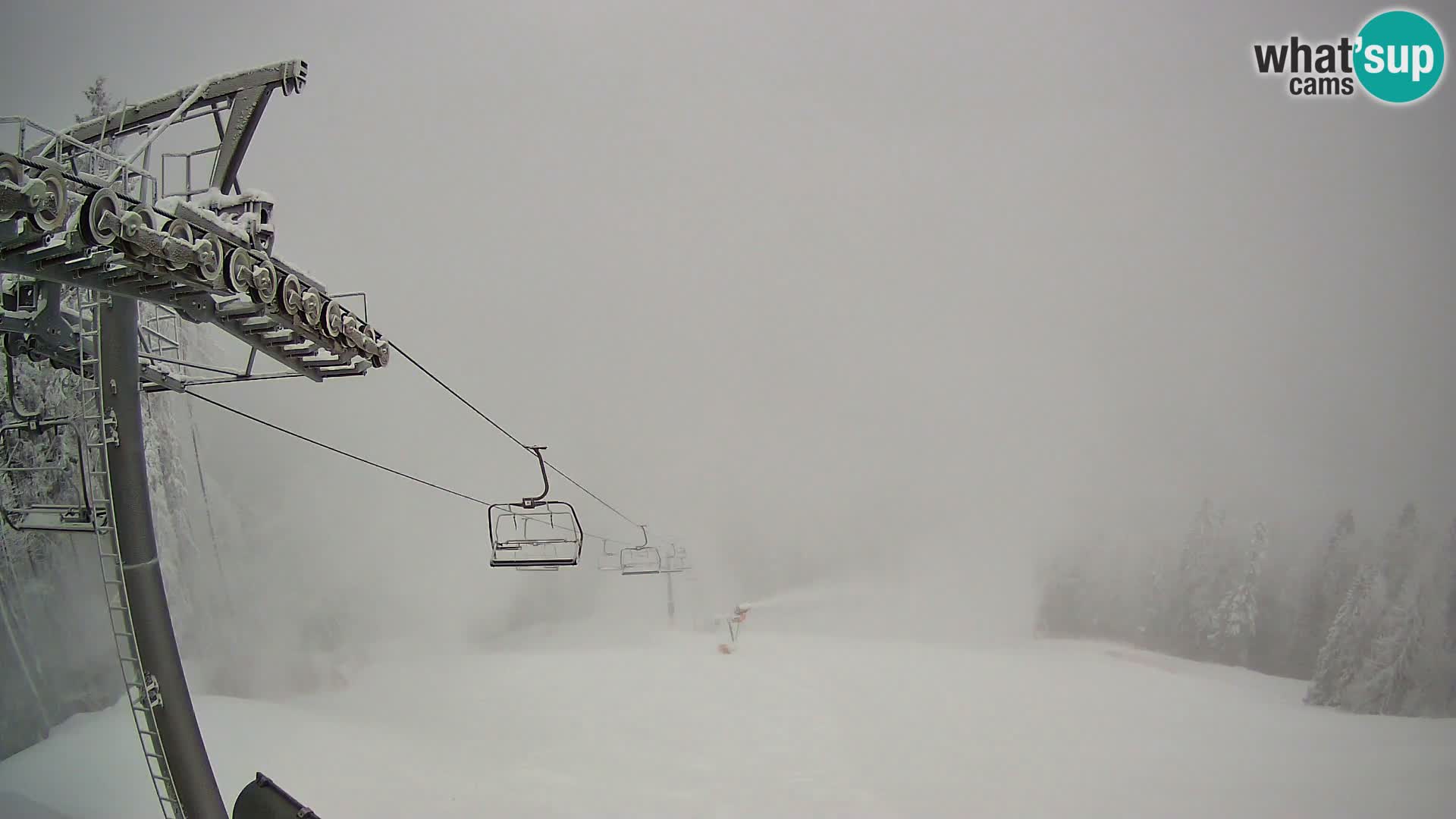 Podkoren veleslalom svjetskog kupa – Kranjska Gora