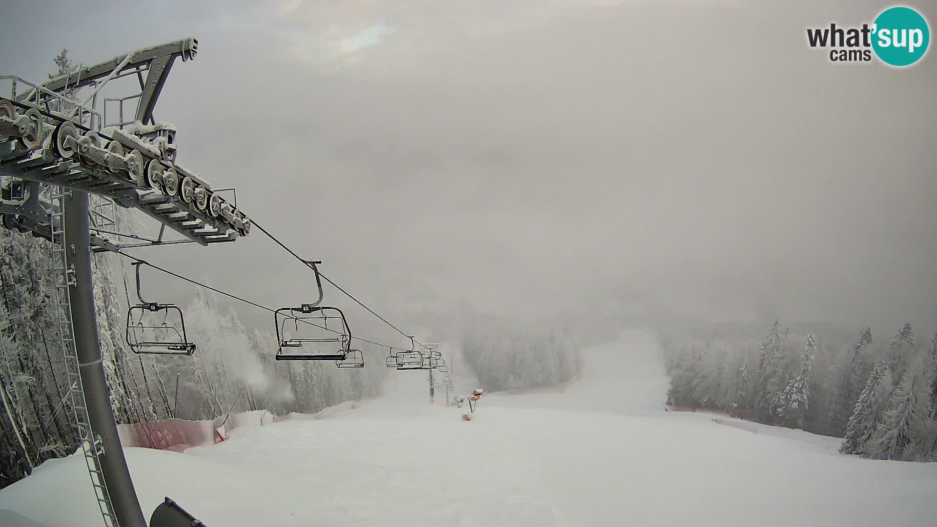 Kranjska Gora webcam Podkoren – Partenza  slalom gigante