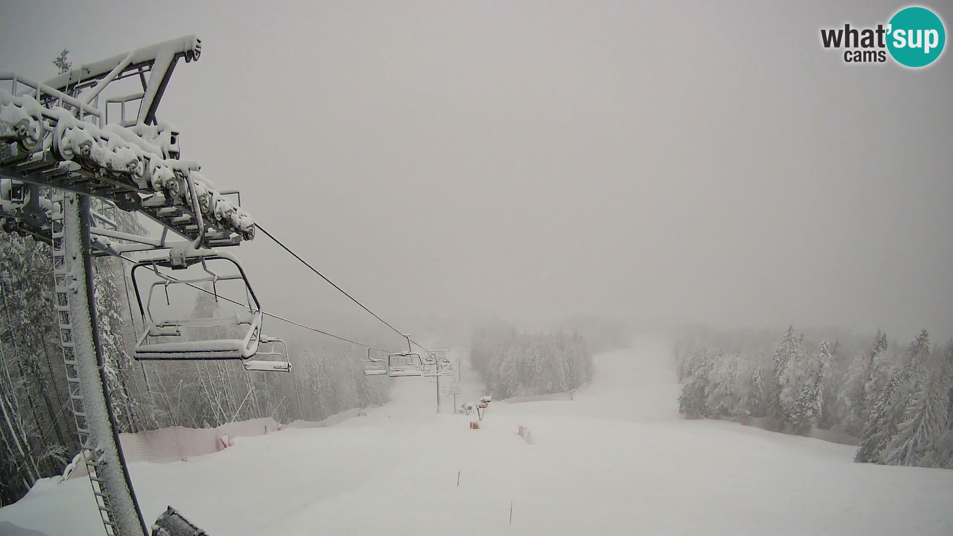 Podkoren Riesenslalom | Start – Kranjska Gora