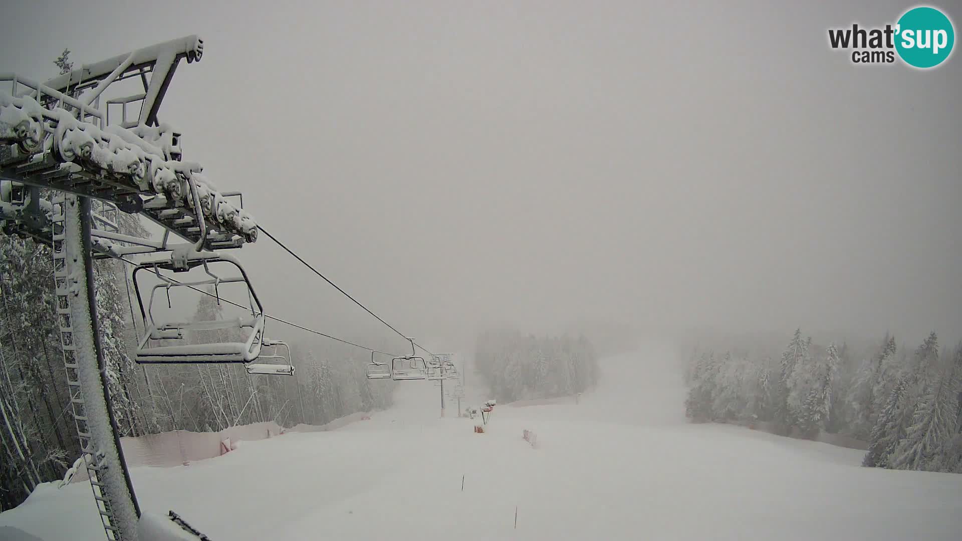 Kranjska Gora webcam Podkoren – Partenza  slalom gigante