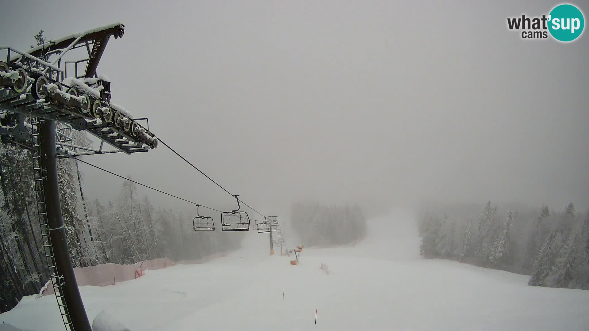 Kranjska Gora webcam Podkoren – Partenza  slalom gigante