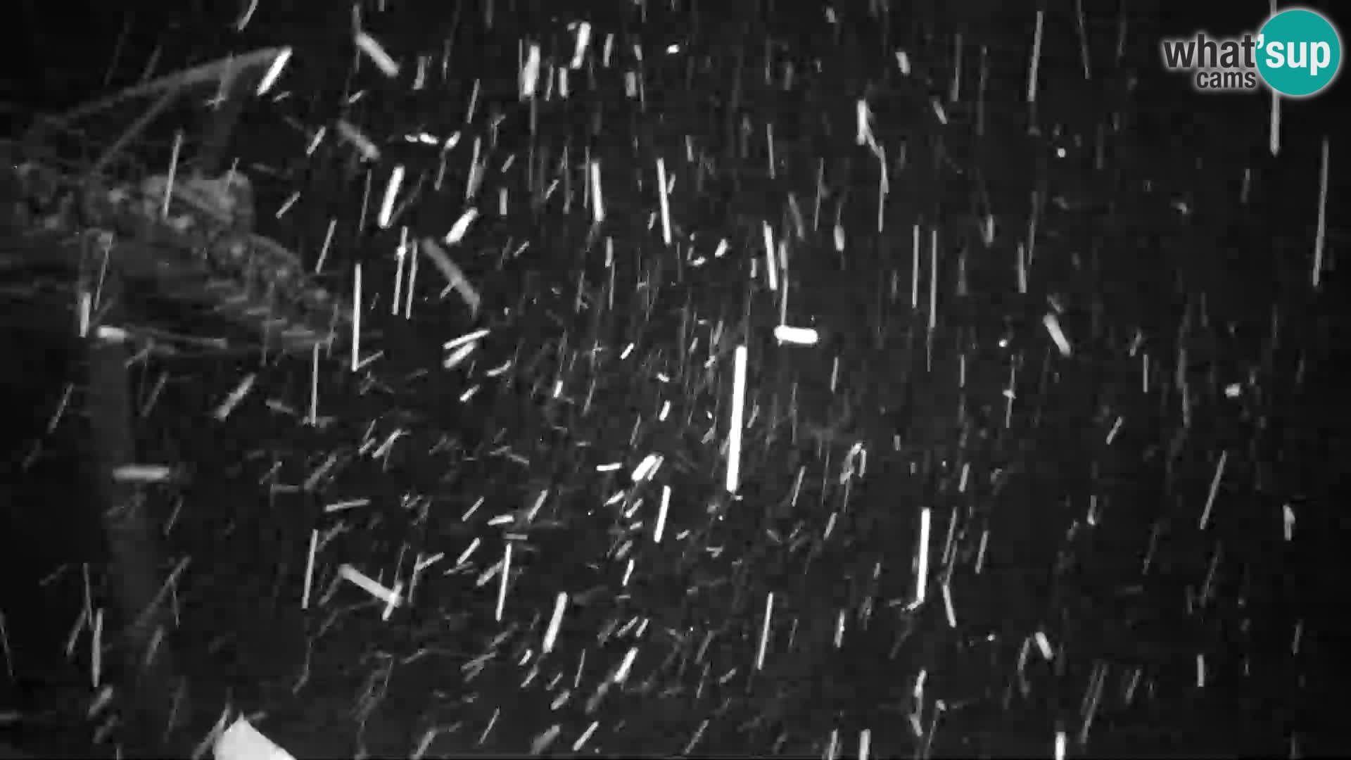 Kranjska Gora webcam Podkoren – Partenza  slalom gigante