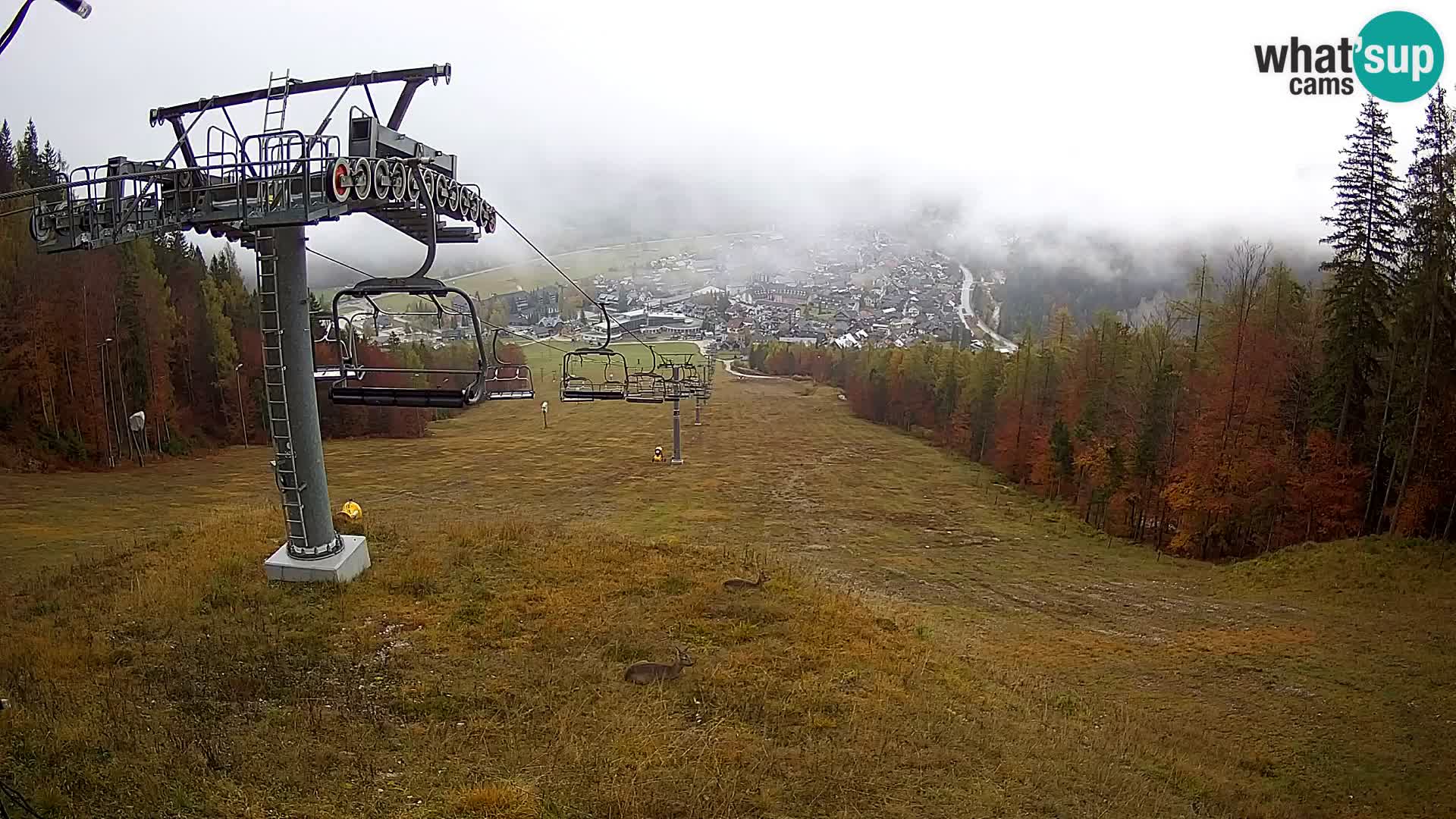 Kekec Kranjska Gora webcam – pista da sci