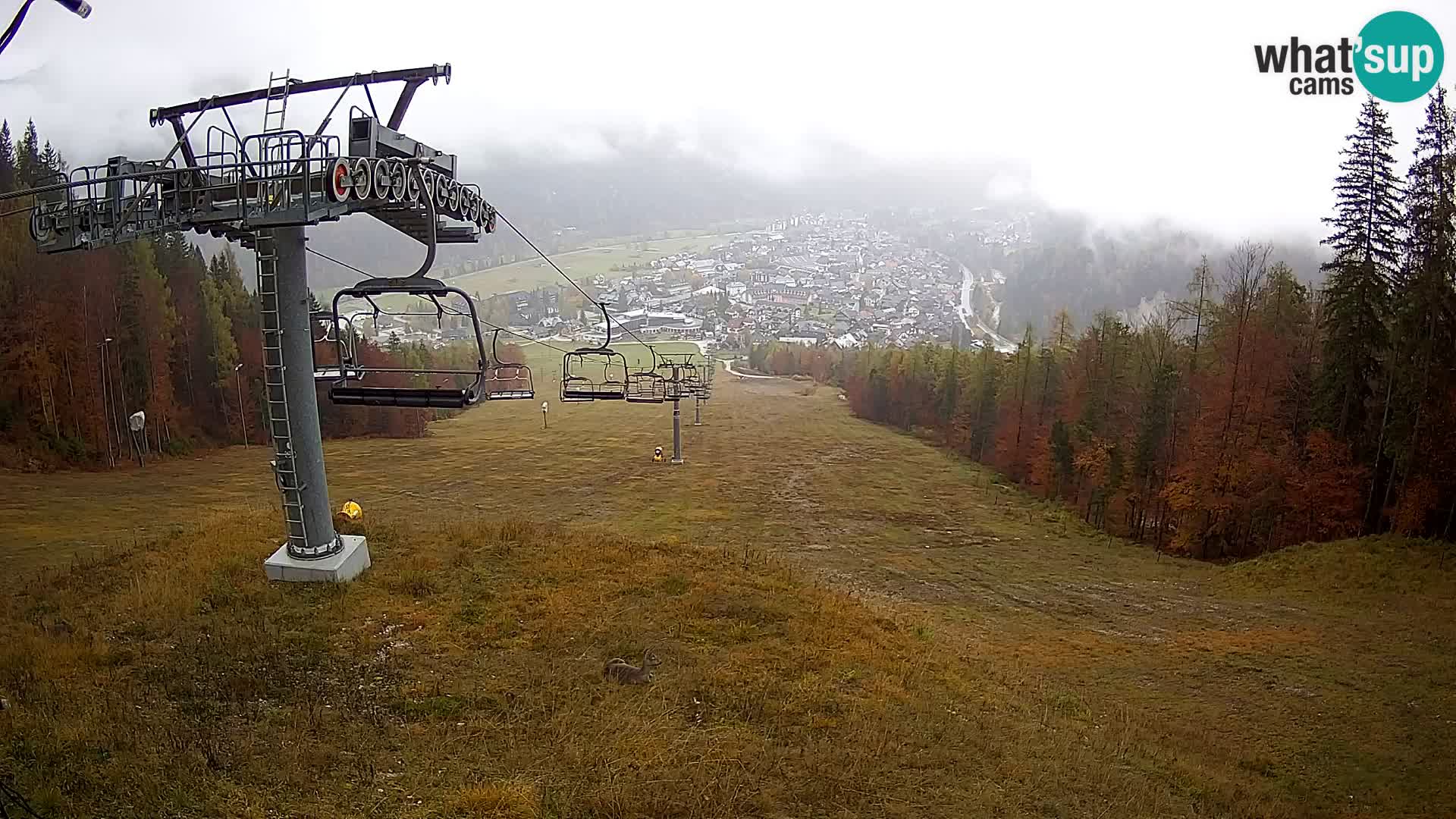Kekec Kranjska Gora webcam LIVE – SKI Kranjska Gora