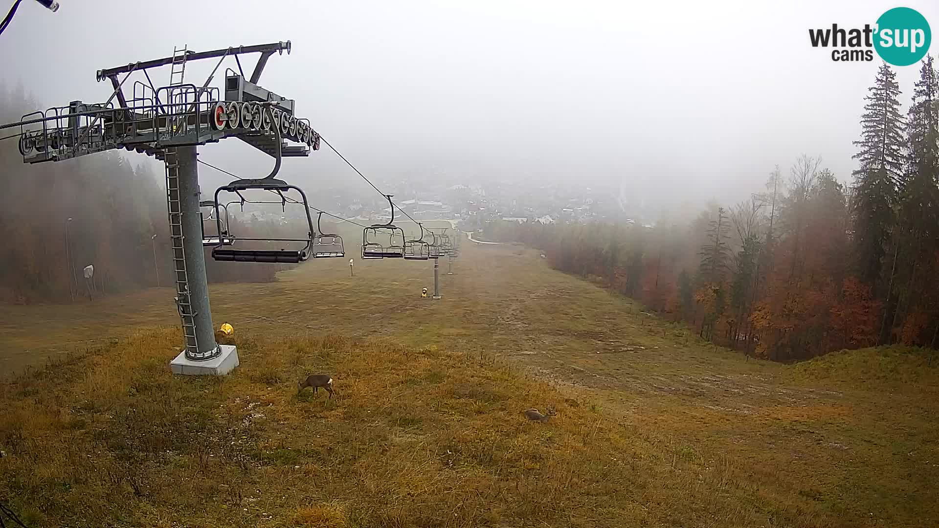 Kekec Kranjska Gora Live webcam