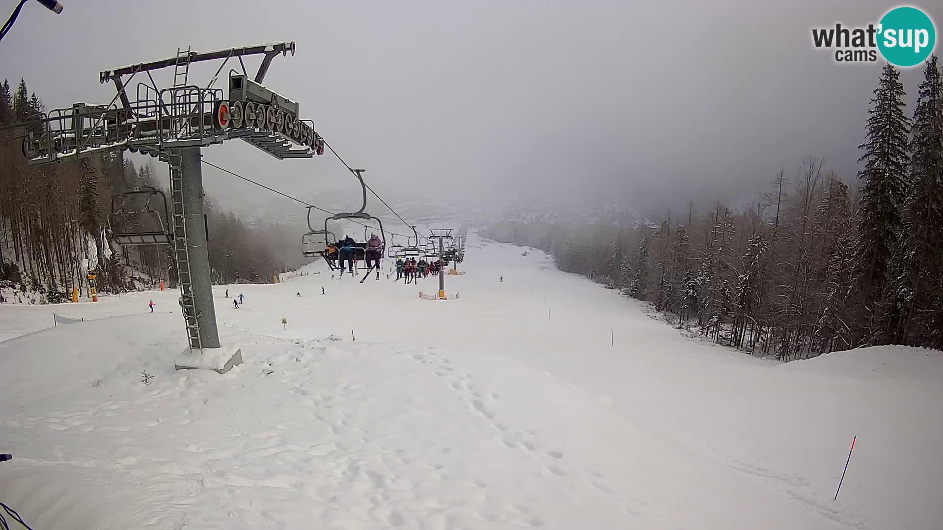 Kekec Kranjska Gora webcam – pista da sci