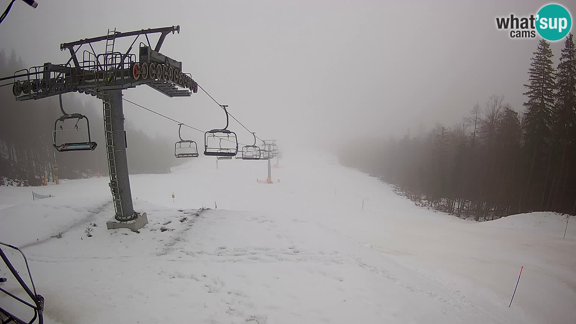 Kekec Kranjska Gora webcam – pista da sci