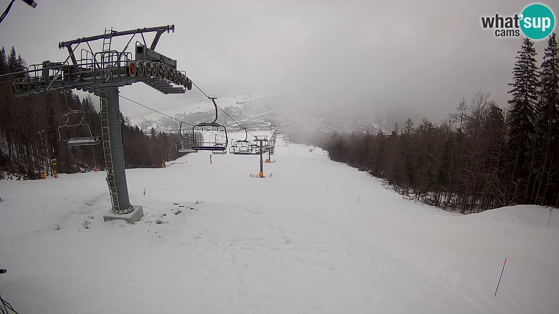 Kekec Kranjska Gora webcam – Skigebiet