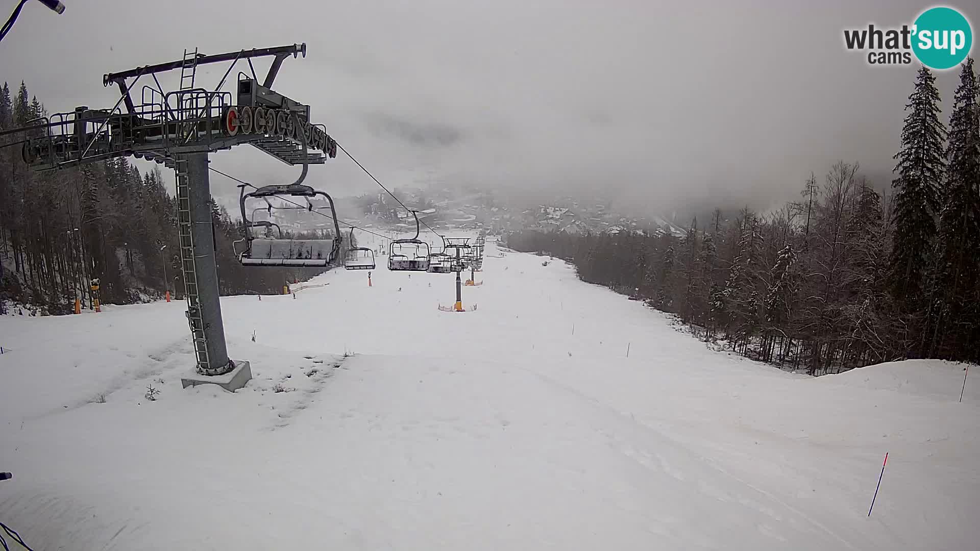 Kekec Kranjska Gora webcam – Skigebiet