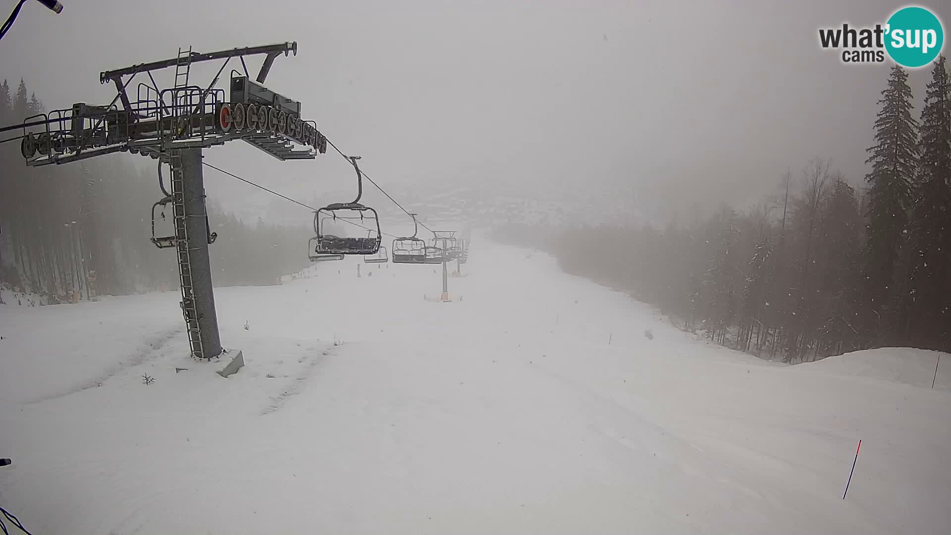 Kekec Kranjska Gora webcam – pista da sci