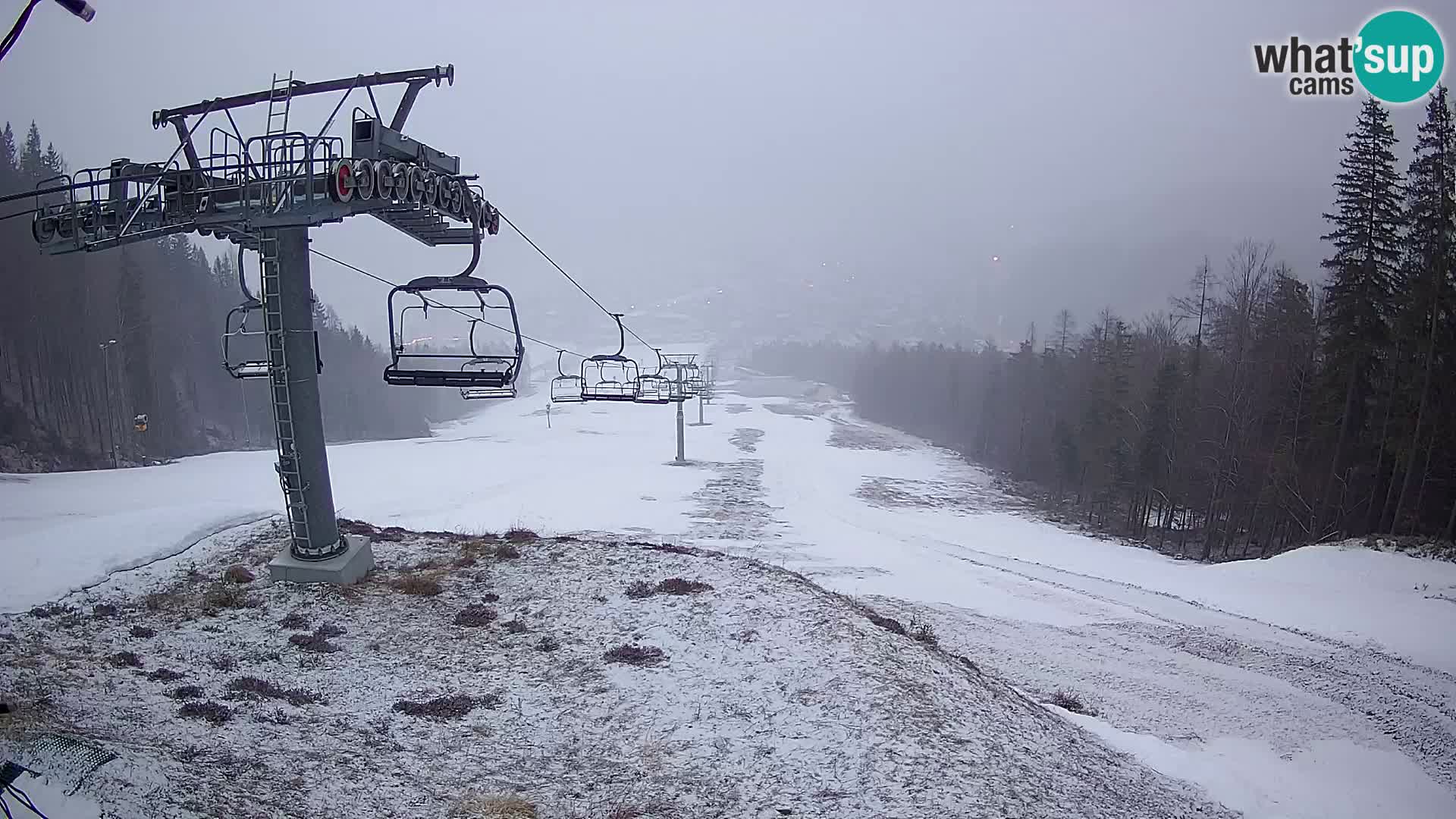 Kekec Kranjska Gora webcam – Skigebiet