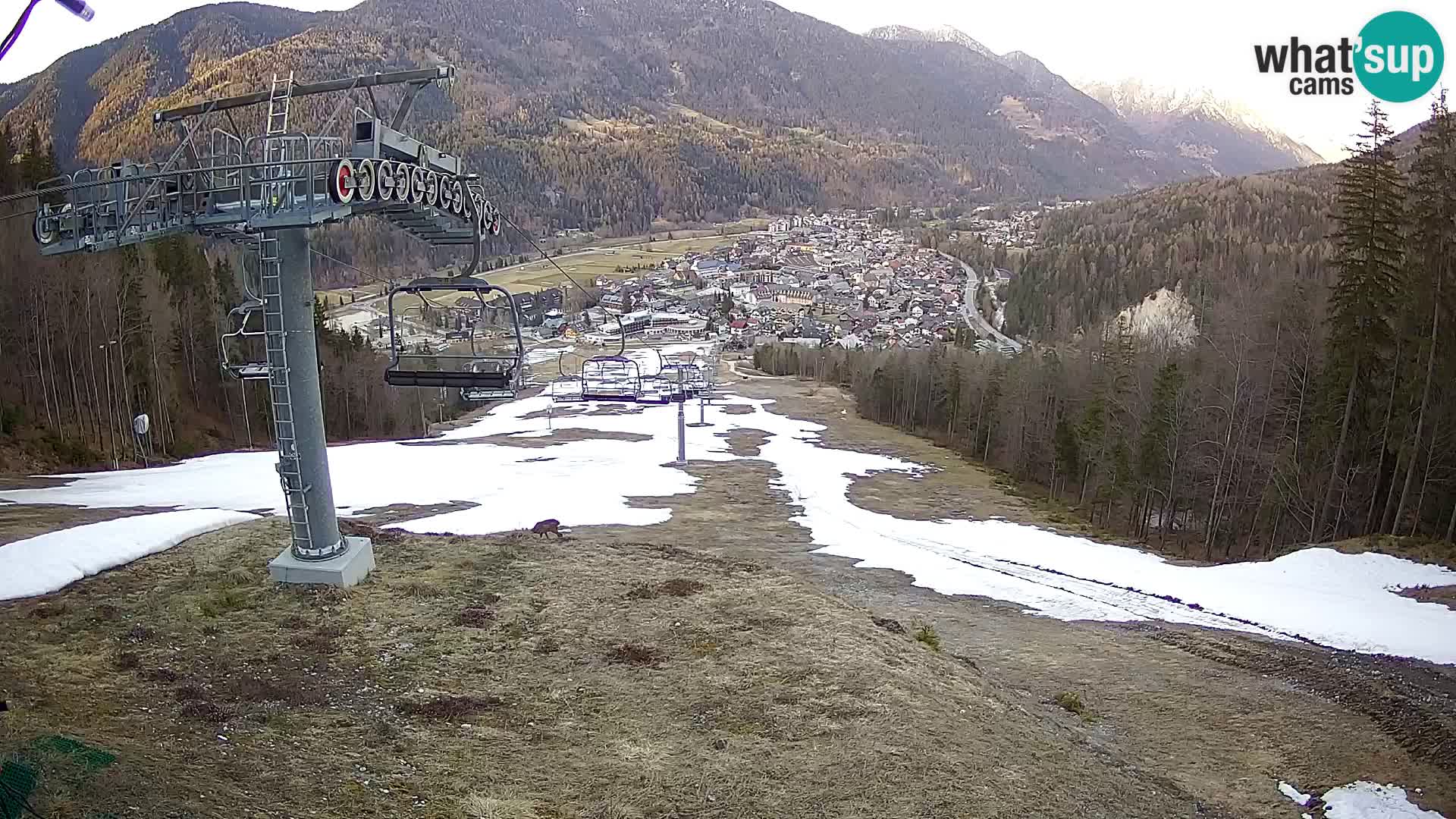 Kekec Kranjska Gora webcam LIVE – SKI Kranjska Gora
