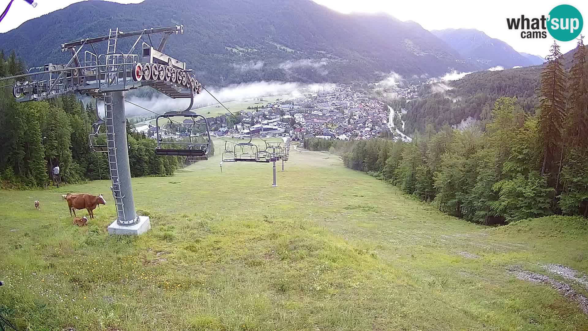 Kekec Kranjska Gora Live webcam – skijanje Kranjska Gora