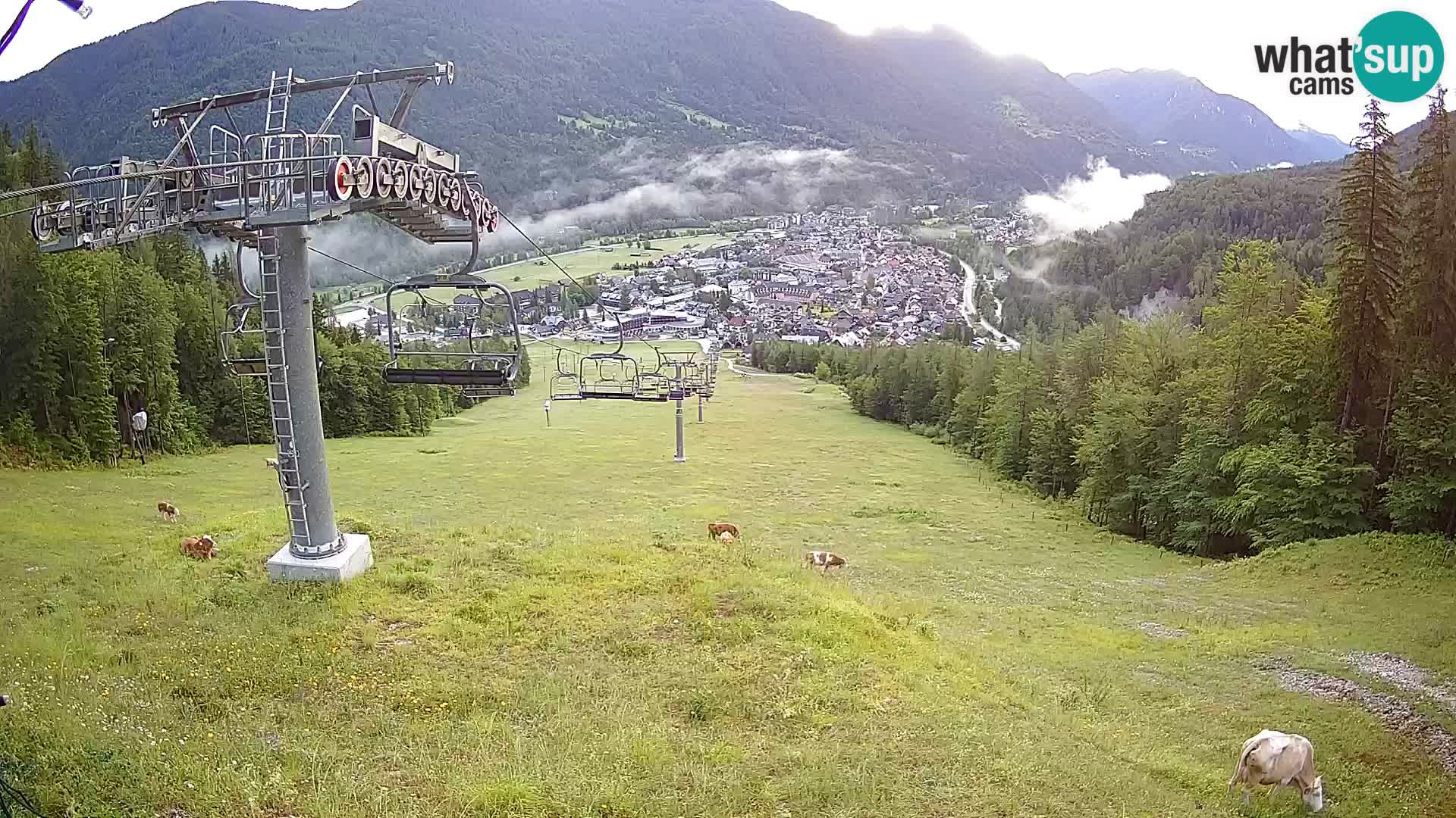 Kekec Kranjska Gora webcam – Skigebiet